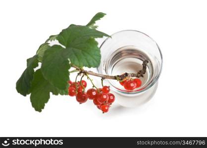 twig with of red currants in a glass isolated on white
