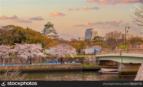 Twilight at Osaka castle during Cherry blossoms season in Japan at sunset