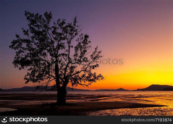 Twilight on the beach and colorful sky with tree at Takua Thung, Phangnga, Southern of Thailand