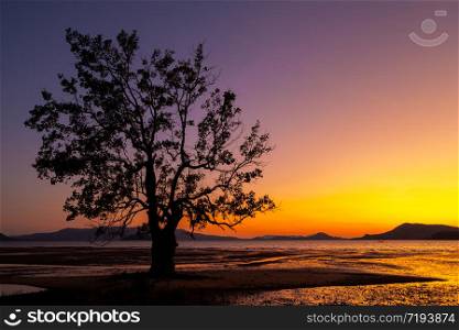 Twilight on the beach and colorful sky with tree at Takua Thung, Phangnga, Southern of Thailand