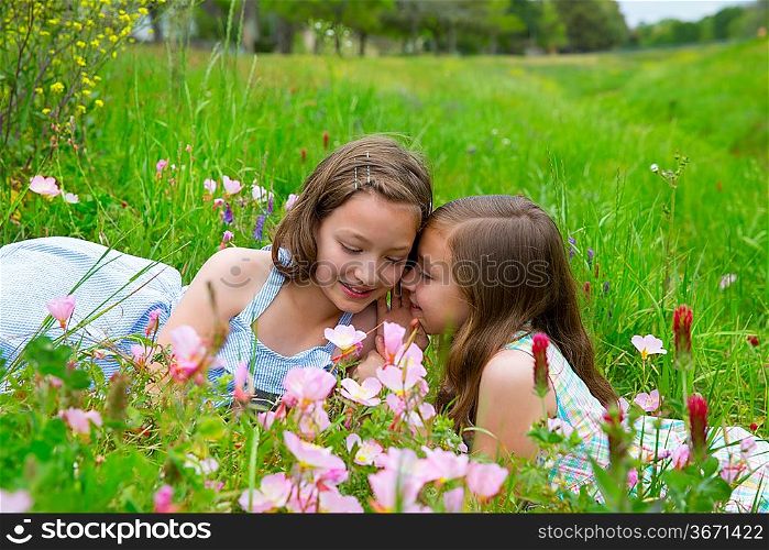 twin sisters friends whispering ear on spring poppy flowers green meadow