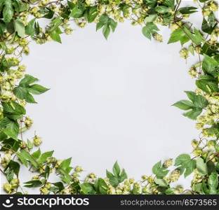 Twined hops vine frame on white background, top view