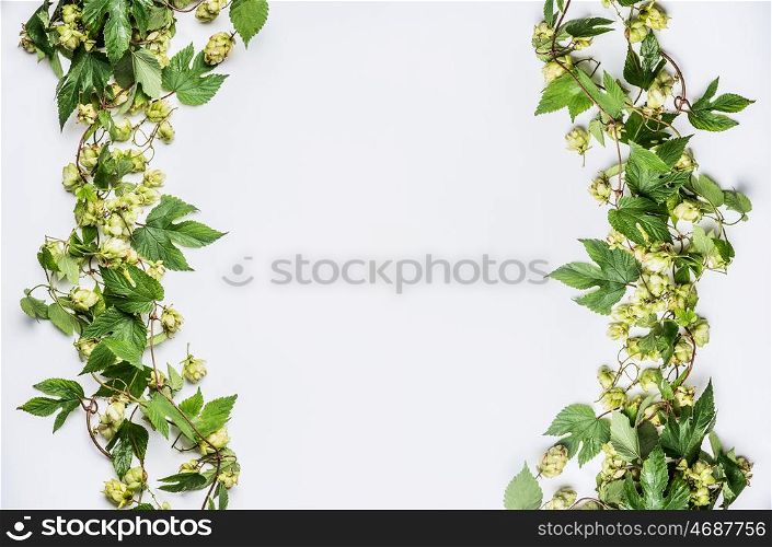Twined hops vine frame with cones on white background, top view