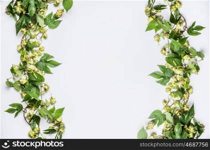 Twined hops vine frame with cones on white background, top view