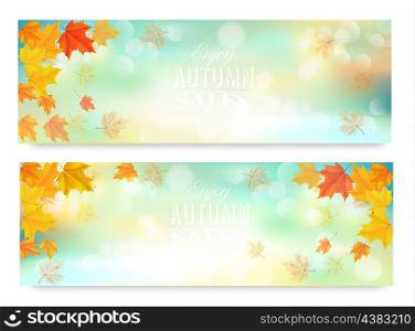Two abstract autumn banners with color leaves.Vector