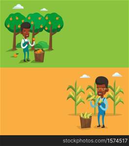 Two agricultural banners with space for text. Vector flat design. Horizontal layout. Caucasian farmer holding a corn cob. Farmer collecting corn. Happy smiling farmer standing near basket with corn.. Two agricultural banners with space for text.