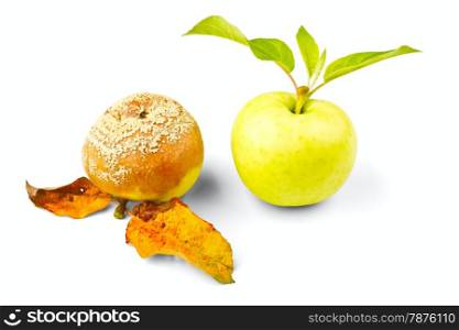 Two apples isolated on a white background