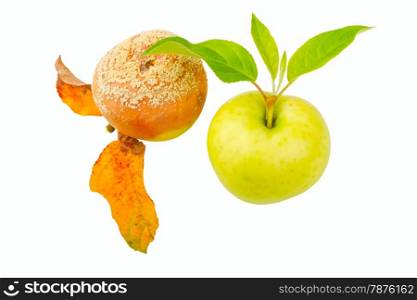 Two apples isolated on a white background