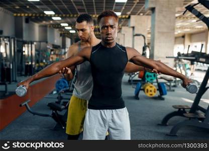 Two athletic men doing exercise with dumbbells on training in gym. Fit workout in sport club, healthy lifestyle, fitness. Two athletic men doing exercise with dumbbells