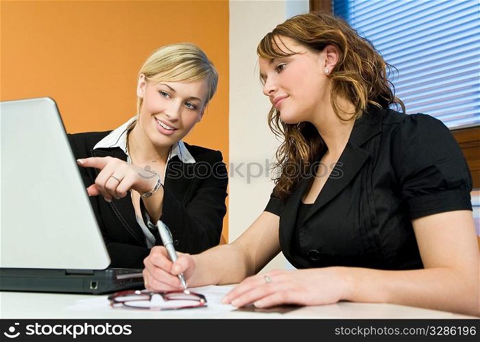 Two attractive young female executives working together on a laptop