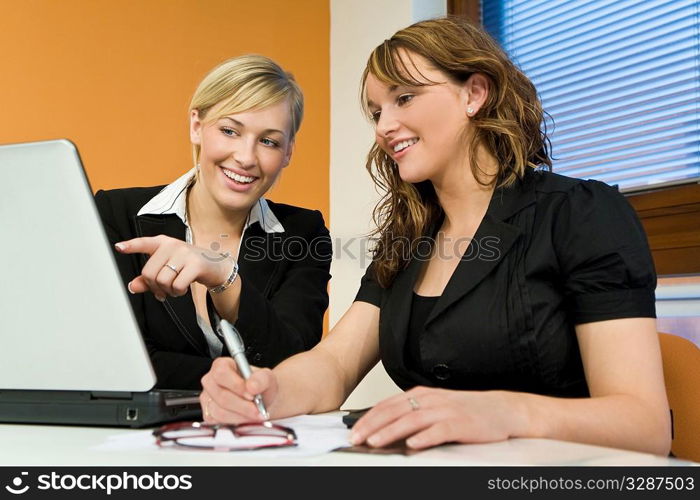 Two attractive young female executives working together on a laptop