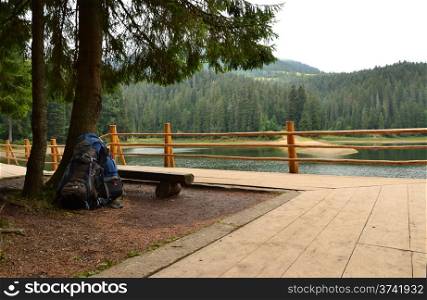 two backpacks near the firs behind the fence on the lake