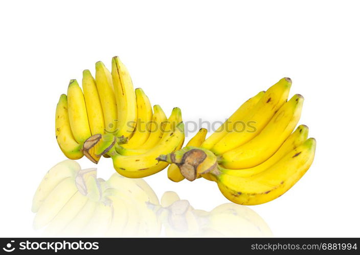 Two banana comb on a white background.
