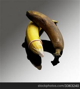 two bananas one good with condom one rotten without condom safe sex concept