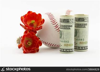 Two baseballs placed with American currency and red cactus flowers on white background. Spring training for major league baseball has a series of practice and exhibition Cactus League games. Sites include locations such as Phoenix in Arizona.