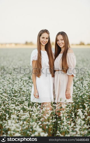 Two beautiful girls with long hair in a blooming field at sunset. two beautiful sisters in a flowering field.. Two beautiful girls with long hair in a blooming field at sunset. two beautiful sisters in a flowering field