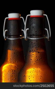 Two beer bottles on dark background
