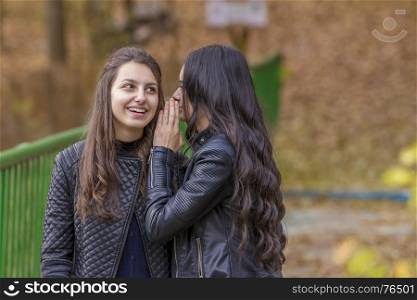 Two best friends are whispering and laughing in autumn park