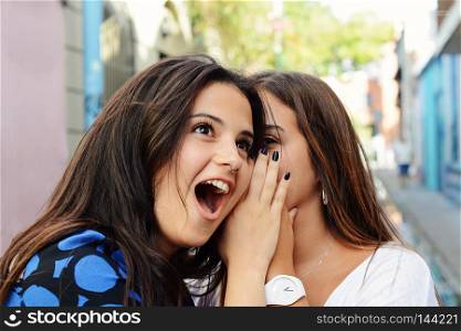 Two best friends shares secrets. Young women gossiping and whispering secrets. People and friendship concept