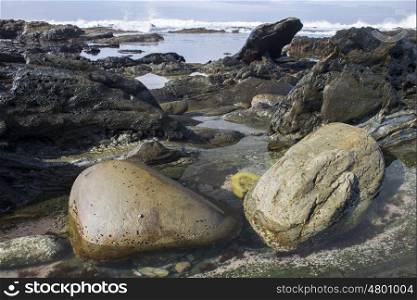 Two big boulders lie in the water of a rock pool on a rugged coastline.