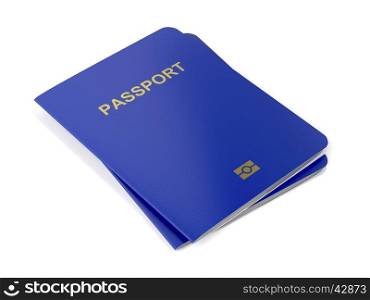 Two biometric passports on white background