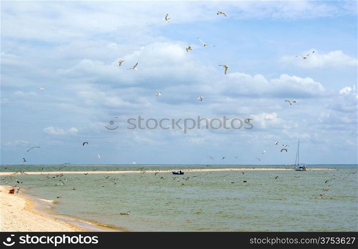 Two boat in a sea gulf and long sandy beach with gulls