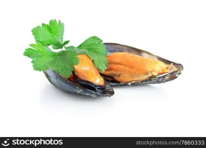 two boiled mussels with parsley isolated over white background