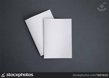 two booklets. Resolution and high quality beautiful photo. two booklets. High quality and resolution beautiful photo concept