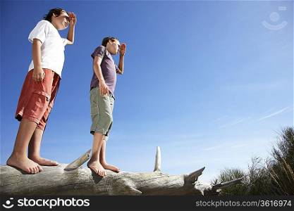 Two boys (10-12) looking at view, standing on fallen tree trunk