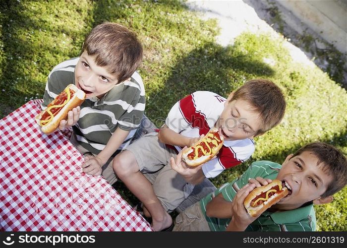 Two boys and a teenage boy eating hot dogs