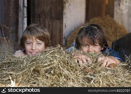 Two boys hiding in hay, happy