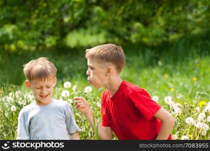 Two boys laugh and blow on a dandelion