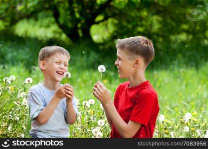 Two boys laugh and blow on a dandelionV