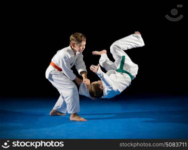 Two boys martial arts fighters isolated