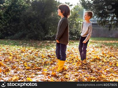 Two boys playing outdoors, in autumn leaves
