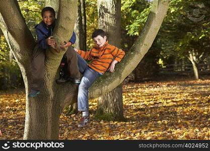 Two boys sitting in a tree