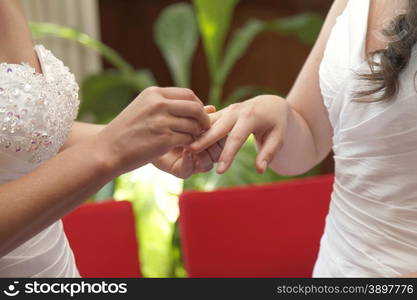 two brides getting married exchange rings in city hall