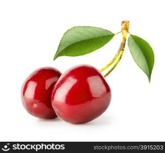 Two bright ripe cherries with leaves isolated on white background. Two bright ripe cherries with leaves