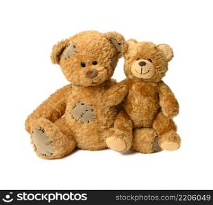 two brown cute teddy bears on a white background