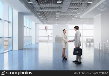 Two business partners shaking hands. Professional business people shaking hands as symbol of deal in office