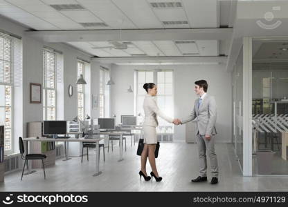 Two business partners shaking hands. Professional business people shaking hands as symbol of deal in office