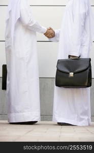 Two businessmen standing outdoors with briefcases shaking hands
