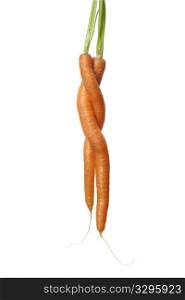 Two Carrots Entwined On White Background With Room For Text