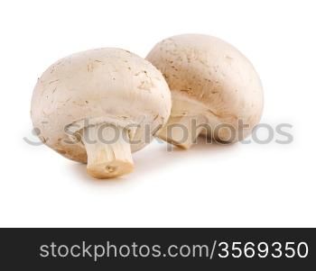 two champignons isolated