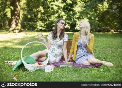 Two cheerful girlfriends enjoying the spare time in summer park