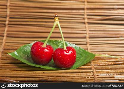 Two Cherries close up. Branch with leaves. Studio shot