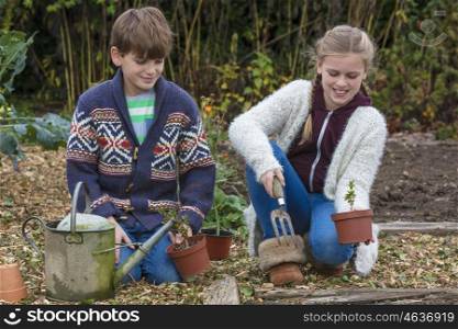 Two children boy and girl talking gardening and planting in vegetable patch together