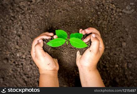 Two children&rsquo;s hands are planting seedling into fertile soil, ecology concept.
