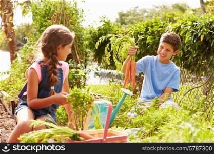 Two Children Working On Allotment Together