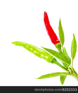 Two chili pepper isolated on white background, red and green, fresh hot vegetables, traditional ingredient in mexican food